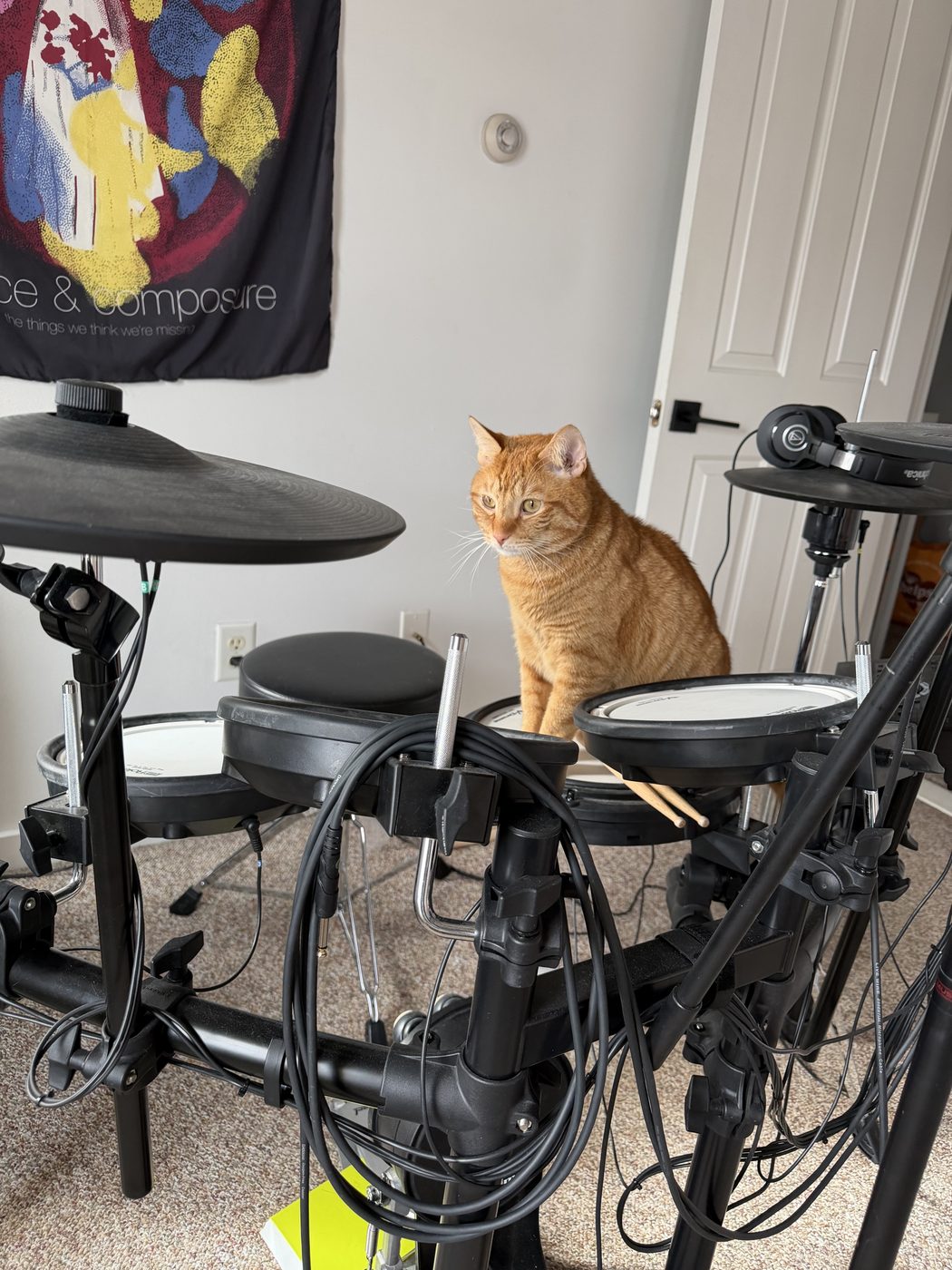 An orange cat sitting behind an electronic drum kit